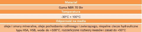 Simering 135x170x15 nierdzewna sprężyna Simering 135x170x15 nierdzewna sprężyna