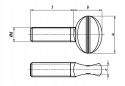 Śruba kciukowa M10x50 ocynk AN 264 1 szt.